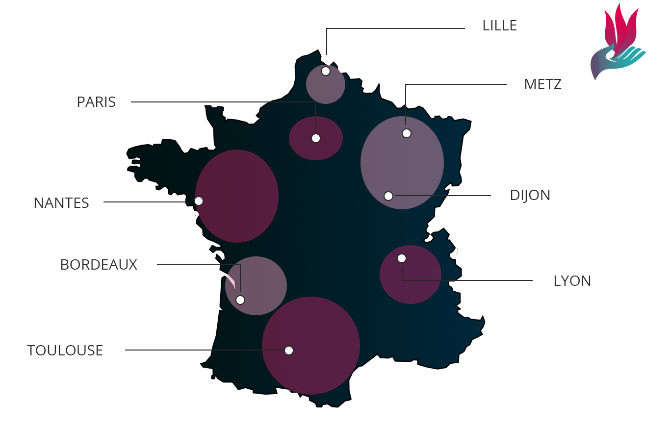 Carte des territoires de France où Renaissance 2020 est présent Carte des territoires de France où Renaissance 2020 est présent